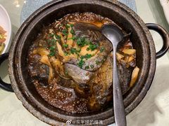 -海派美食·家宴海鲜青岛菜·石锅鲽鱼头(东方城店)