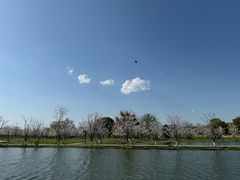 -良渚古城遗址公园