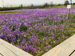 -汉长安城未央宫国家考古遗址公园