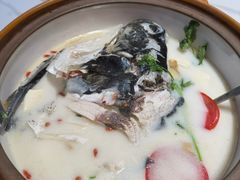 -全乐鱼馆·淳牌有机鱼直营店