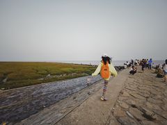 -南汇嘴观海公园