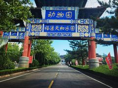 -西霞口神雕山野生动物世界