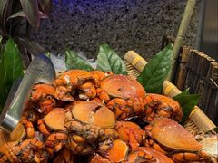 -初色海鲜自助(万丰路店)