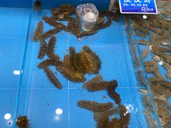 -双井轩(双井店)