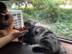 -咖法森林·咖啡  酒吧(天河店)