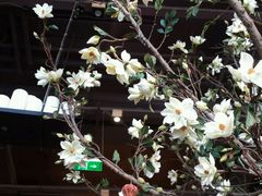 -山有花啡餐厅(常营总店)