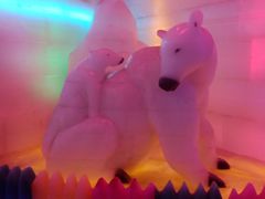 -白鹿仓冰雪海洋世界