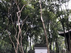 -玉女潭景区