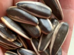 -刘艳明炒货(小心桥店)