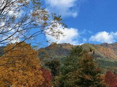 -塔川景区
