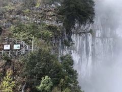 -百色大石围天坑群