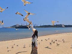 -海驴岛(荣成市)