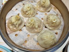 -小杨生煎(东方明珠店)