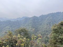 -青城山