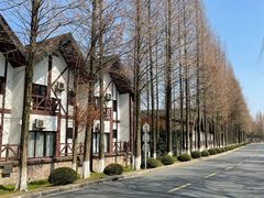 -太阳岛度假酒店