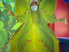 -上海昆虫博物馆