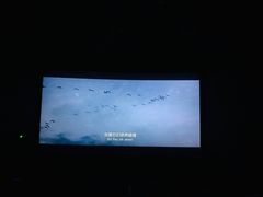 -CGV影城(源著IMAX店)