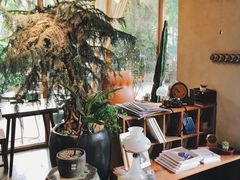 -时光花园(白鹭洲店)