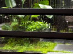 -广州从化都喜泰丽度假温泉酒店