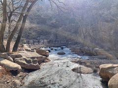 -崂山九水游览区