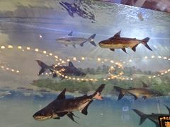 -东吴水韵(吴中店)