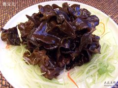西芹木耳-唐廊烤鸭店(工体店)