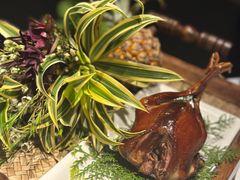 -蝶舍·MAISON PAPILLON