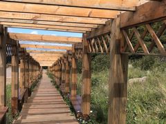 -白草畔自然风景区