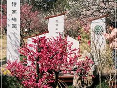 -无锡梅园公园