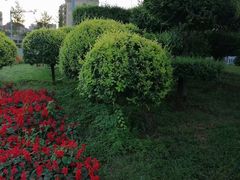 -保利·罗兰香谷