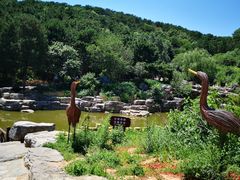 -北京西山国家森林公园