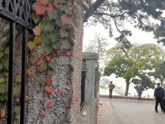 -八大关景区