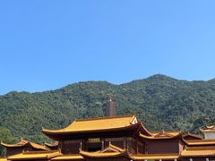 -深圳仙湖植物园