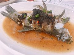 鼓汁蒸丁贵鱼-金华安大酒楼·老牌潮菜·粤式茶点(东方国际店)