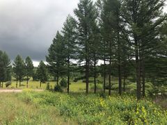 -塞罕坝国家级自然保护区