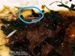 -梅龙镇酒家(南京西路总店)