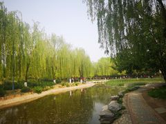 -丰台科技园生态主题公园