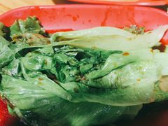 有机生菜-光明刘冰乳鸽店(光明法政北路店)