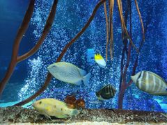 -沈阳海洋探索中心