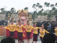 -东芭乐园