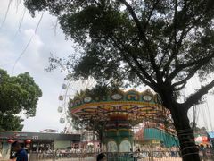 -广东花都香草世界旅游度假区