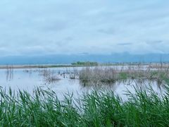 -野鸭湖国家湿地公园