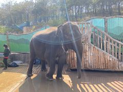 -大连森林动物园