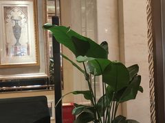大堂-香榭大堂吧 Champs-Elysées Bar(上海南新雅皇冠假日酒店)