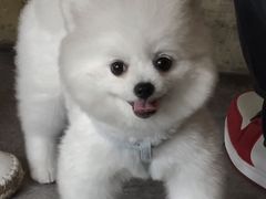 -BE NORMAL CAFE(霞溪路店)