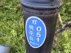-金鸡湖桃花岛