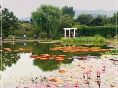 -国家植物园南园