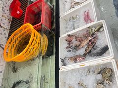 -沙田台山海鲜·酣客酒窖