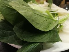 -蝎王府羊蝎子(西直门店)