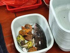 -船奇蒸汽海鲜·闽菜(八市海鲜总店)